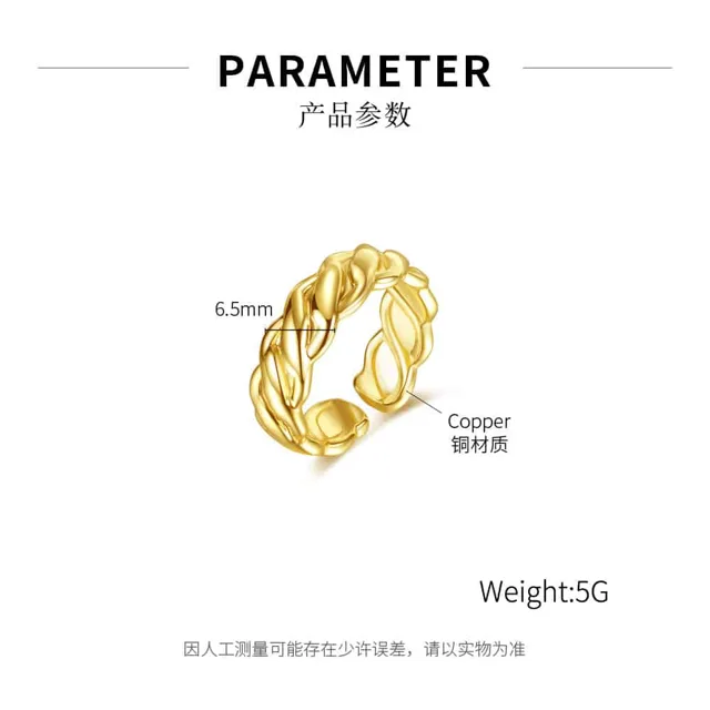 Parameter diagram of the twisted ring, 5 grams